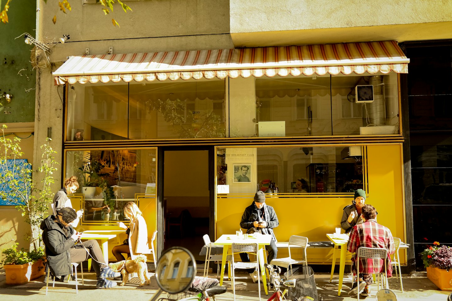Customers relax at sunny outdoor cafe tables with a dog.
